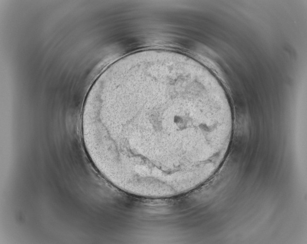X0000112921338200909211044