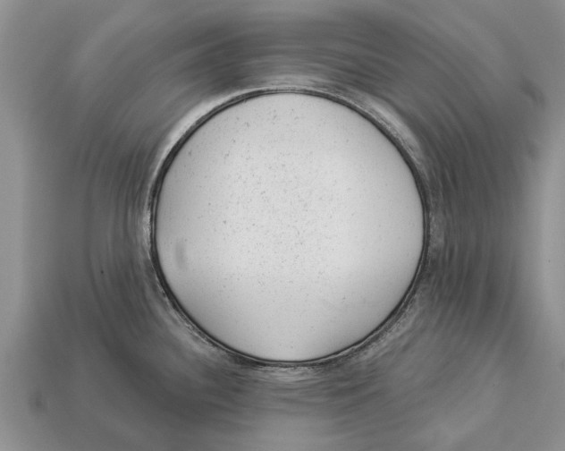 X0000112921340200909211044
