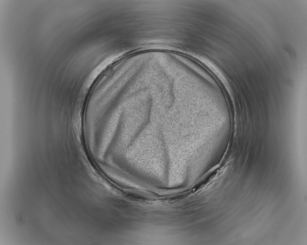 X0000112921341200909211044