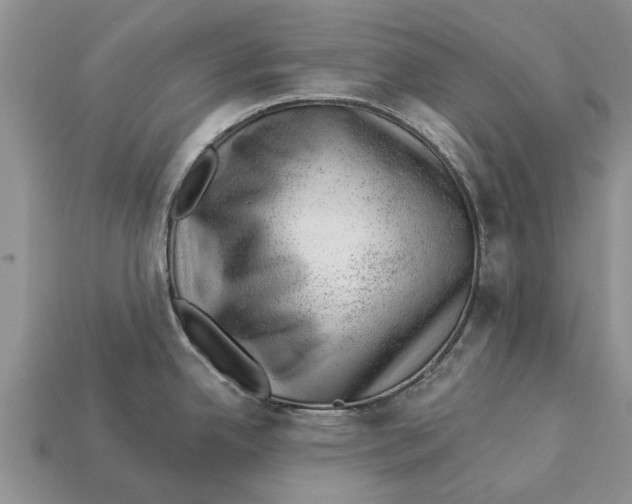 X0000112921342200909211044