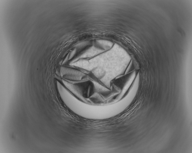 X0000112921345200909211044