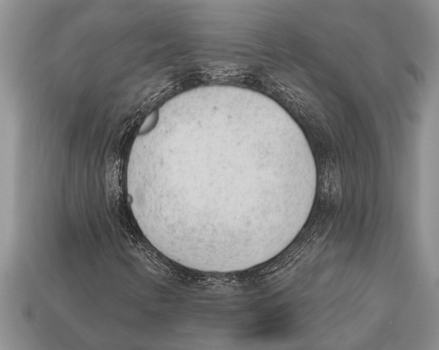 X0000112921346200909211044