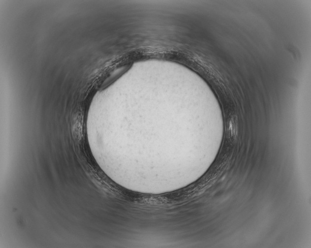 X0000112921348200909211044