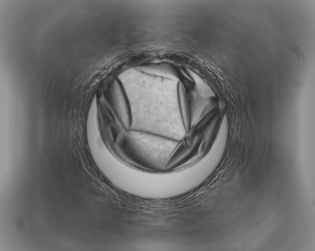X0000112921349200909211044