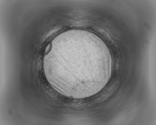 X0000112921350200909211044
