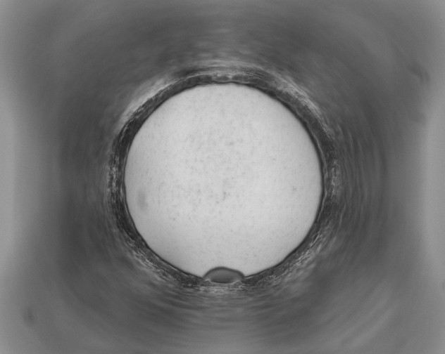 X0000112921352200909211044