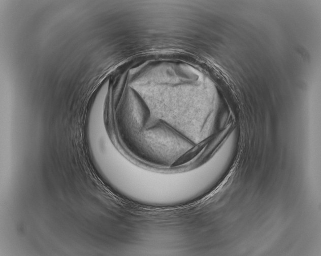 X0000112921353200909211044