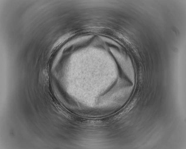 X0000112921354200909211044