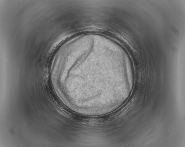 X0000112921355200909211044