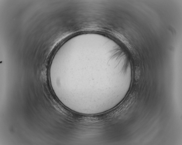 X0000112921356200909211044