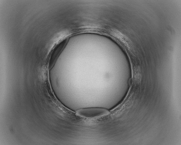 X0000112921357200909211044
