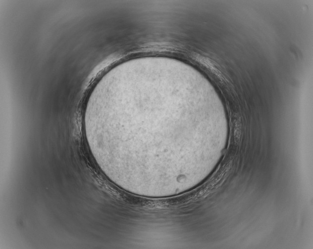 X0000112921358200909211044