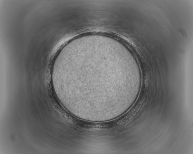 X0000112921359200909211044