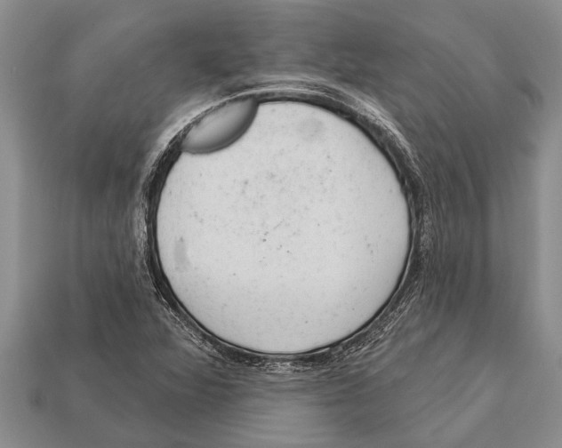 X0000112921360200909211044
