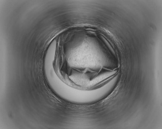 X0000112921361200909211044