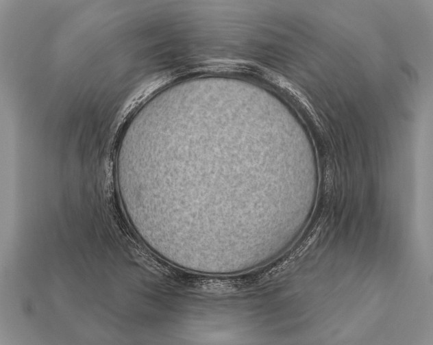 X0000112921362200909211044