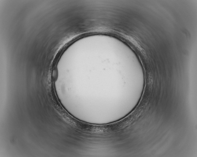 X0000112921364200909211043