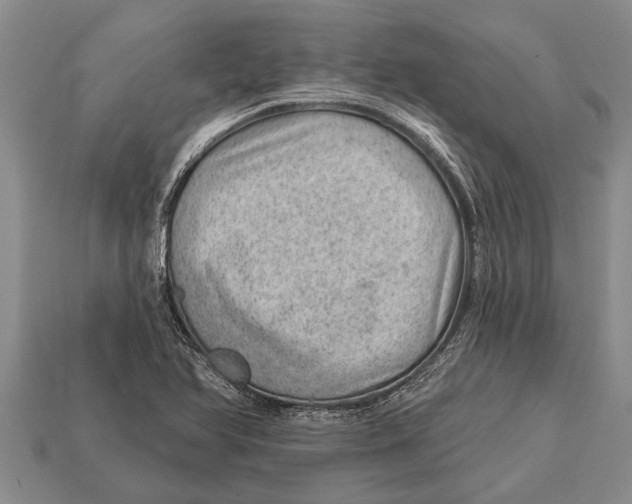 X0000112921366200909211043