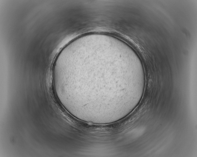 X0000112921367200909211043