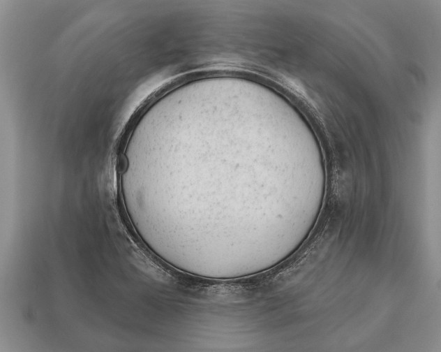 X0000112921368200909211043