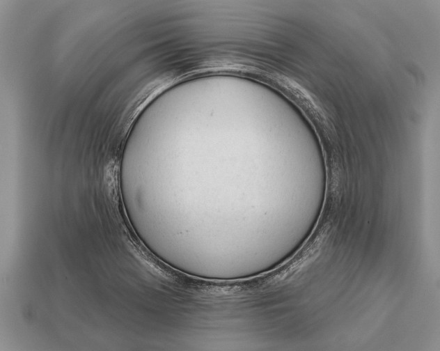 X0000112921369200909211043