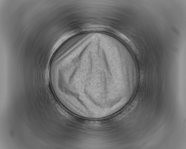 X0000112921370200909211043