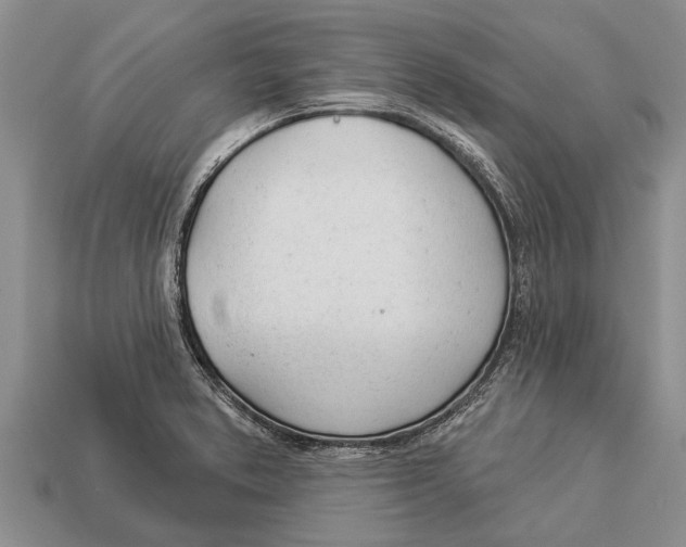 X0000112921373200909211043