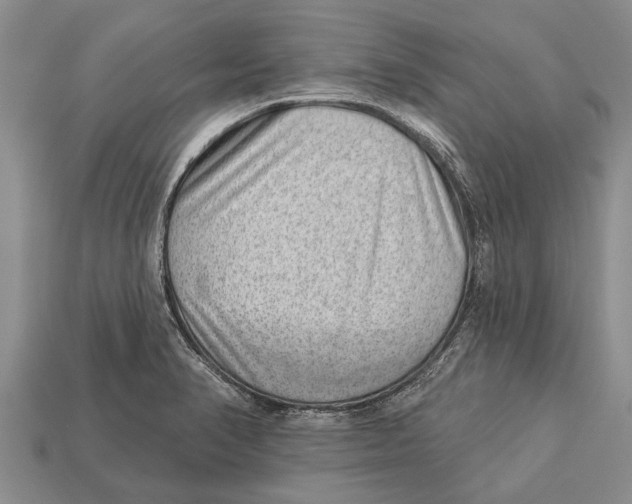 X0000112921374200909211043