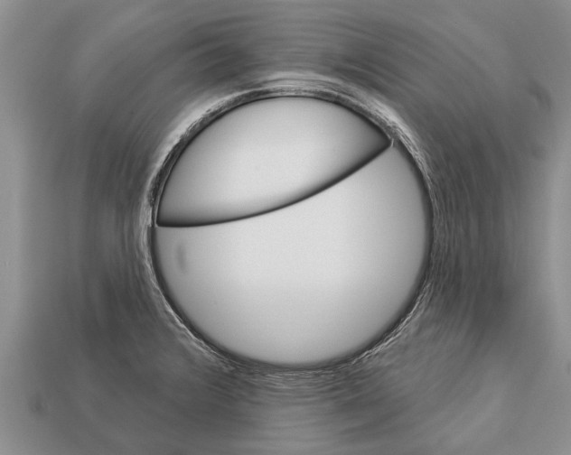 X0000112921376200909211043