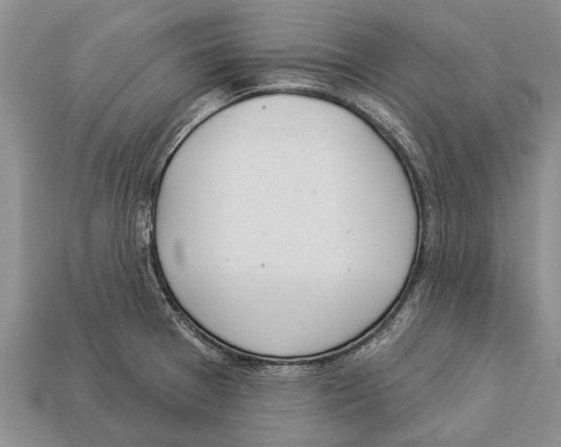 X0000112921377200909211043