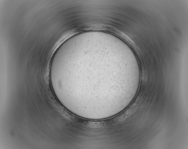 X0000112921378200909211043