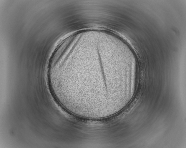 X0000112921379200909211043