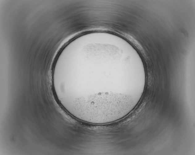 X0000112921380200909211043