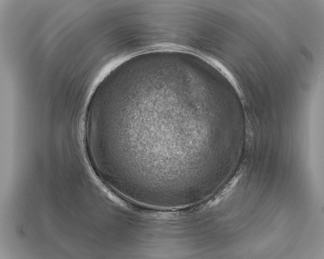 X0000112921381200909211043