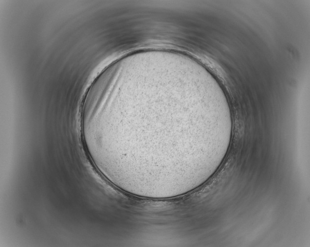 X0000112921382200909211043