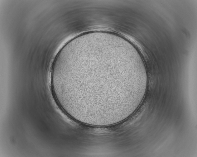 X0000112921383200909211043