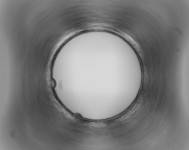 X0000112921384200909211043