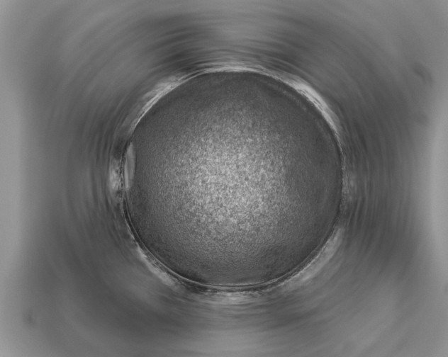 X0000112921385200909211043