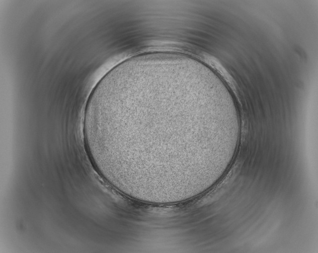 X0000112921386200909211043
