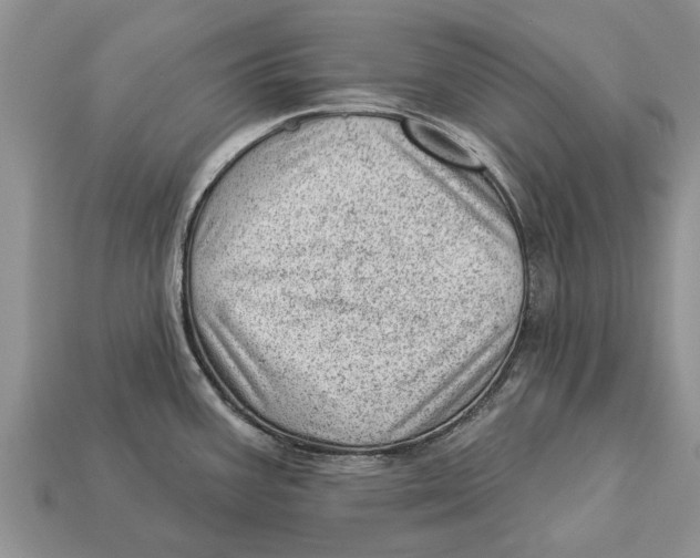X0000112921387200909211043