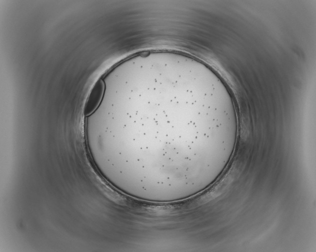 X0000112921388200909211043