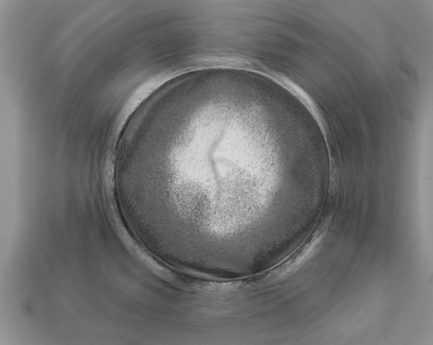 X0000112921389200909211043