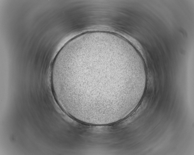 X0000112921390200909211043