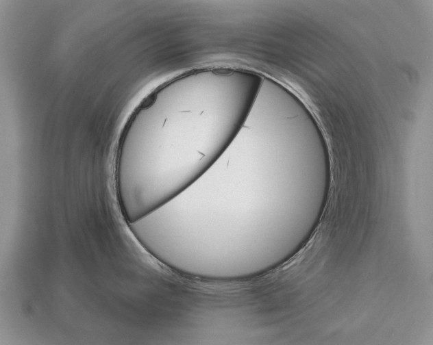 X0000112921392200909211043