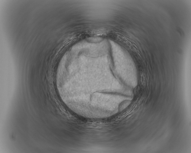 X0000112921393200909211043