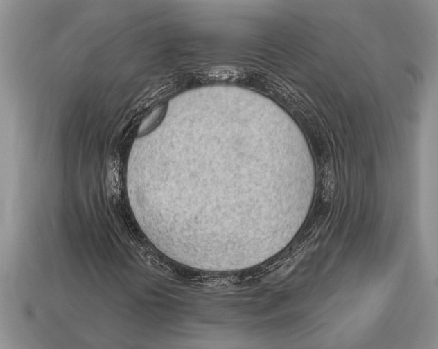 X0000112921394200909211043