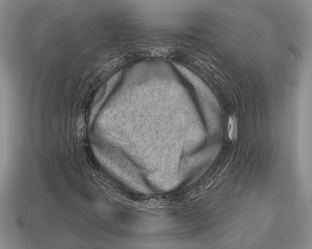 X0000112921395200909211043