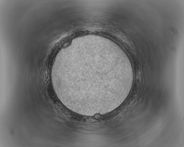 X0000112921398200909211043