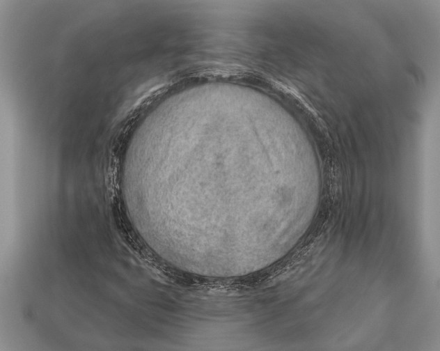 X0000112921399200909211043