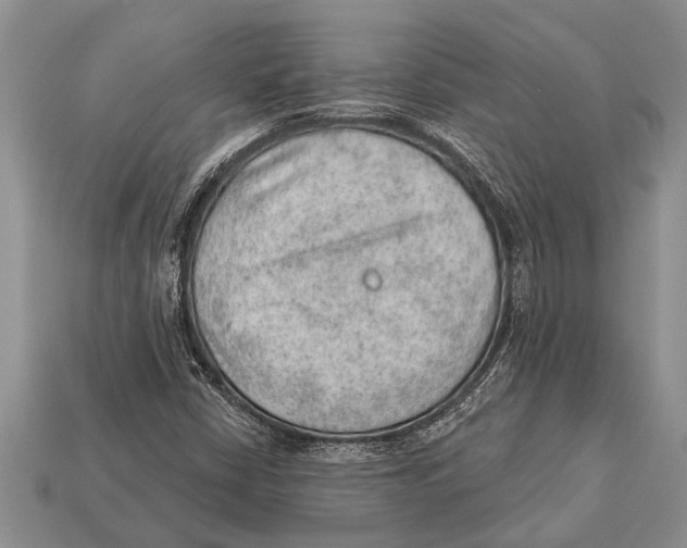 X0000112921402200909211043